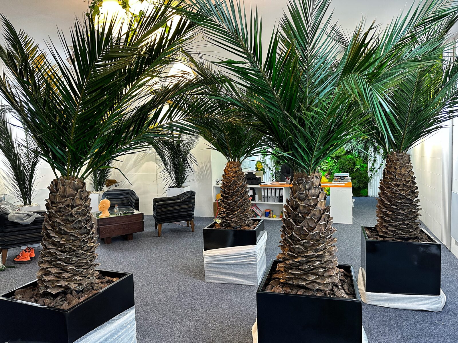 Sztuczne zielone egzotyczne palmy